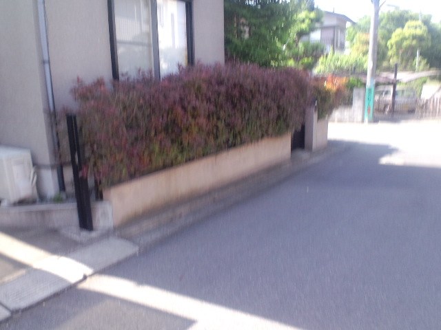 工事の前の生垣（白井市 F様邸）